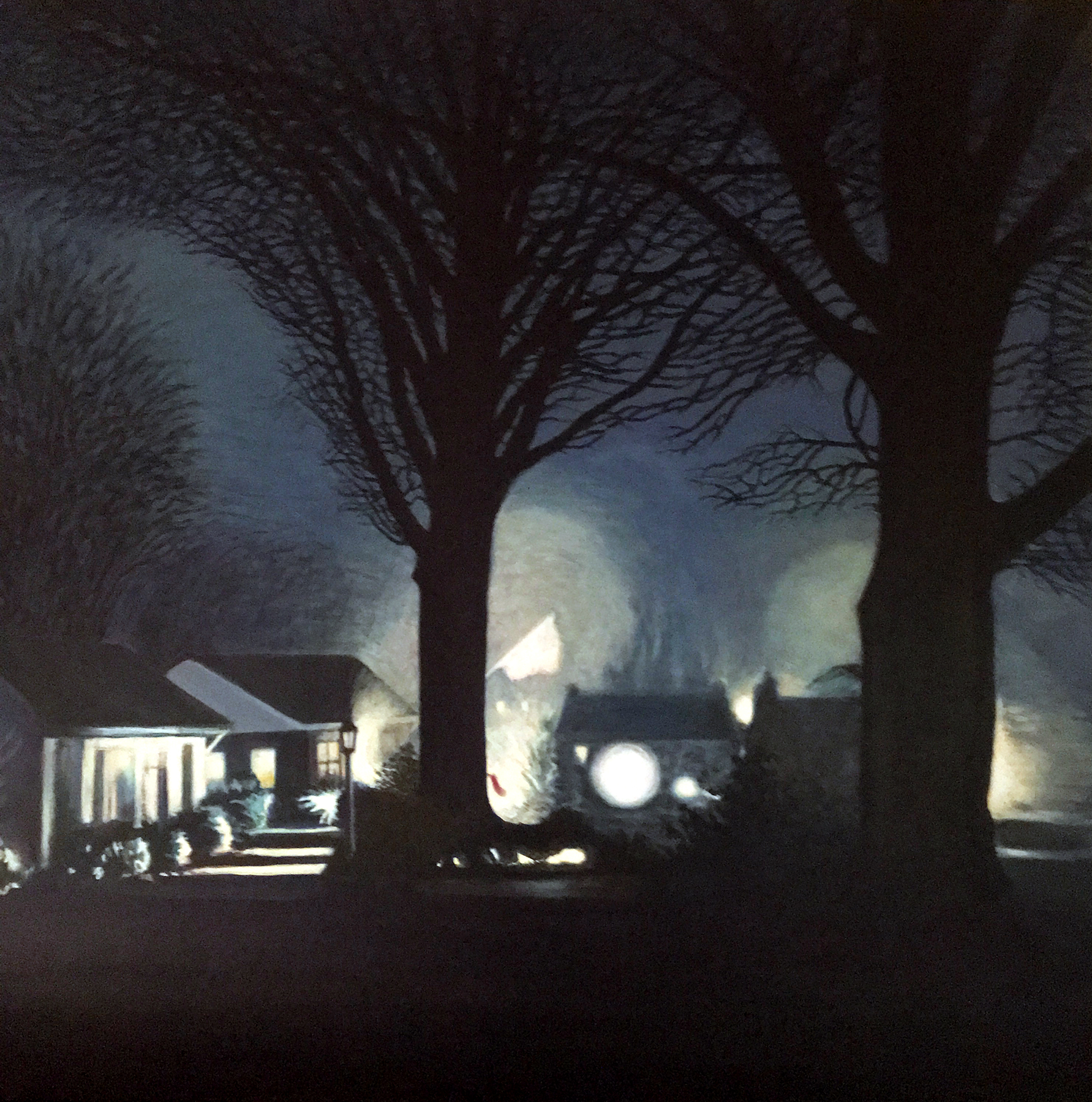 Suburban Nightscape - Grab Your Accordion, the Dark Carnival is about to begin 